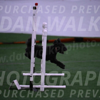 Aweggie-Kay-Rackley-12231