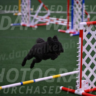 Aweggie-Kay-Rackley-12307