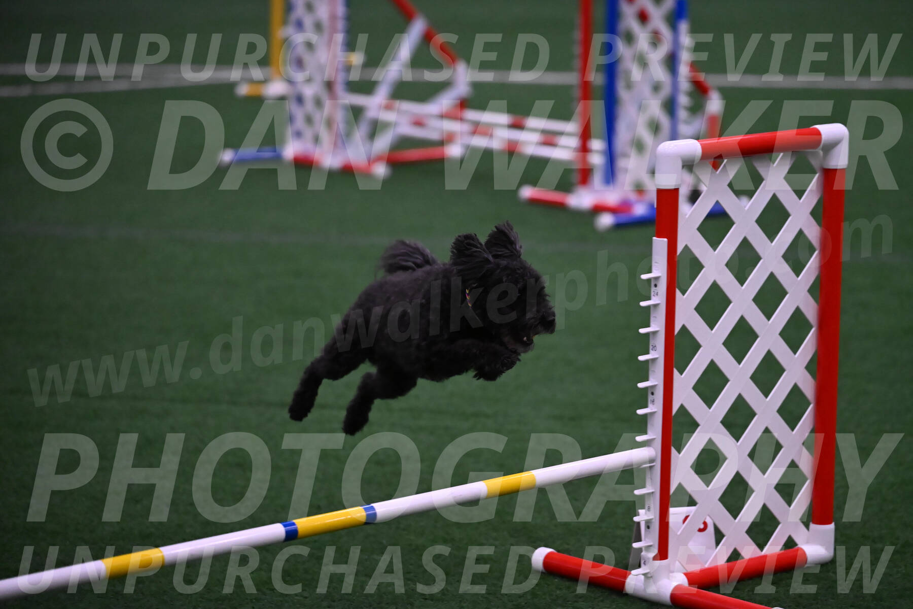 Aweggie-Kay-Rackley-12307