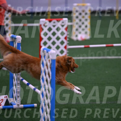 Basil-Cindy-Fink-00953
