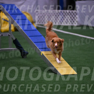 Basil-Cindy-Fink-00968