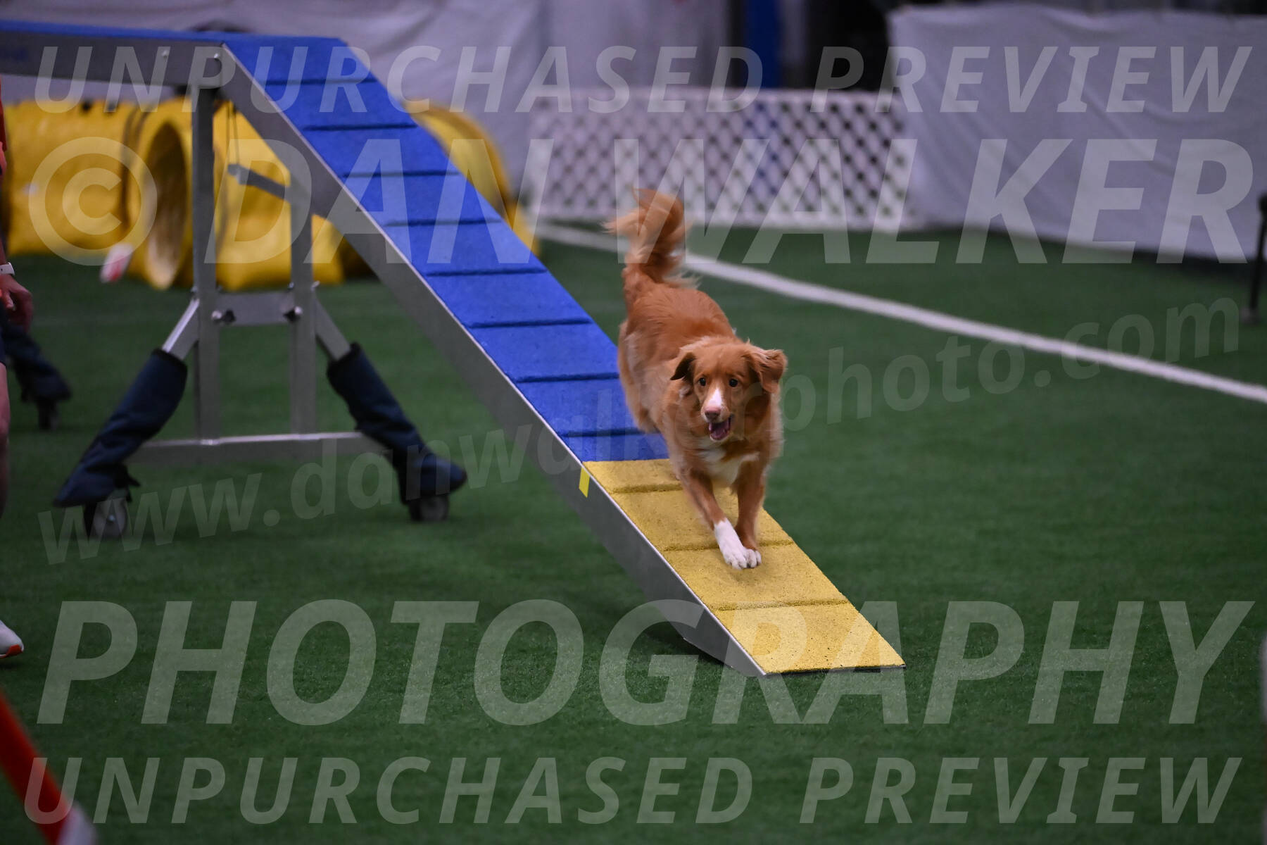 Basil-Cindy-Fink-00968