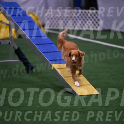 Basil-Cindy-Fink-00969