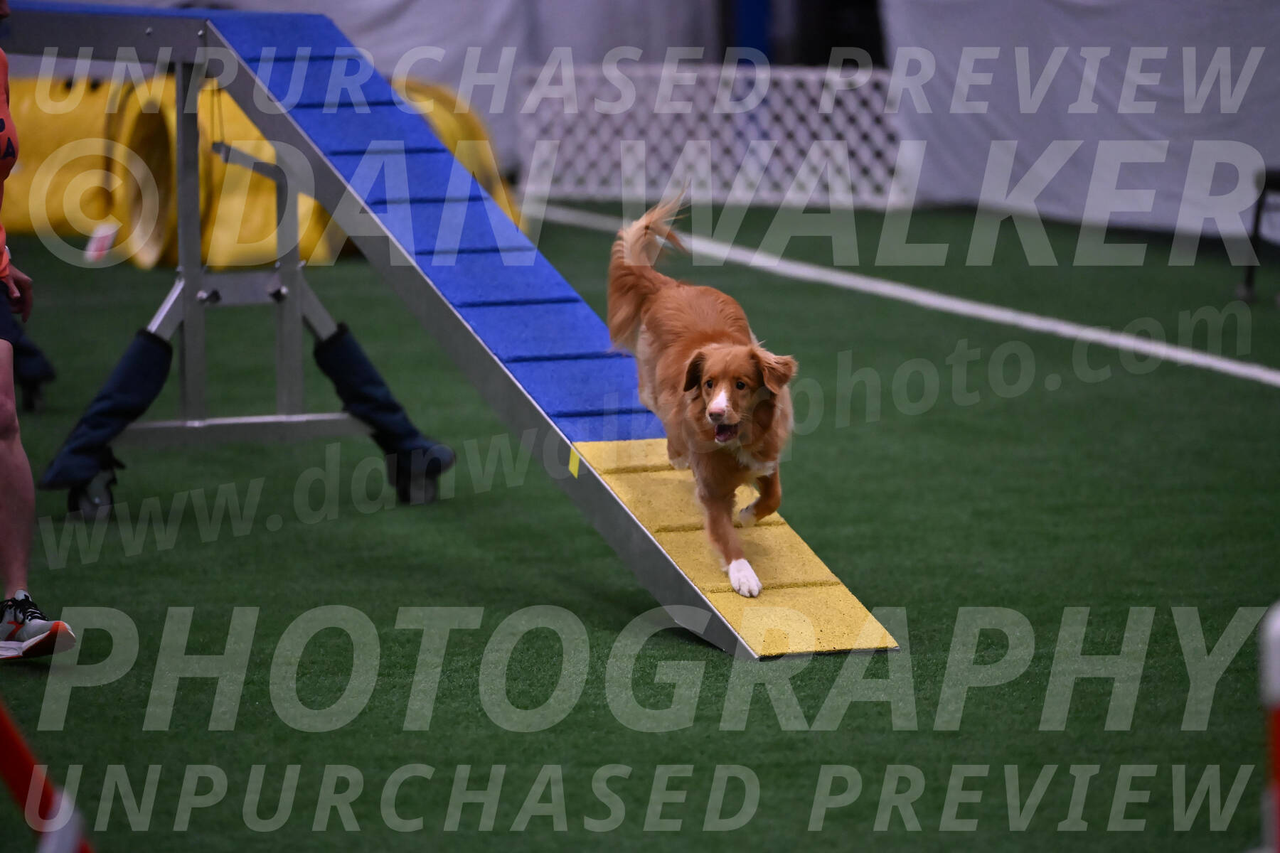 Basil-Cindy-Fink-00969