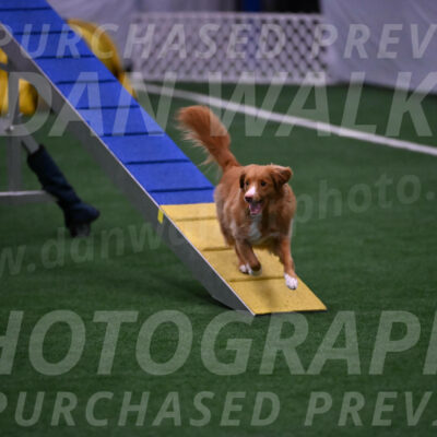 Basil-Cindy-Fink-00971
