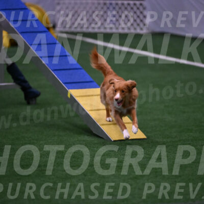 Basil-Cindy-Fink-00972