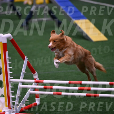 Basil-Cindy-Fink-00974