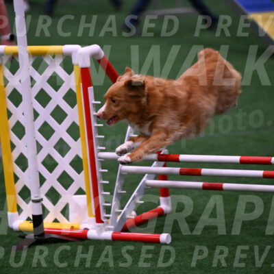 Basil-Cindy-Fink-00977