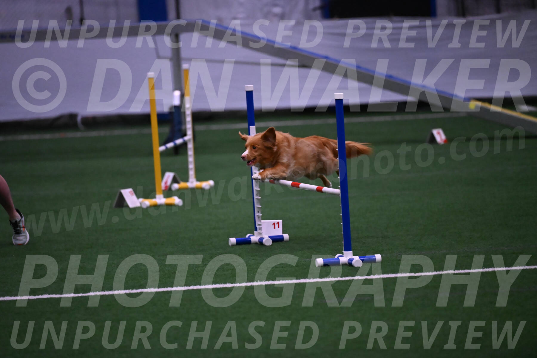Basil-Cindy-Fink-00978