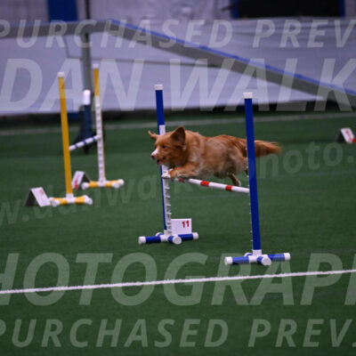 Basil-Cindy-Fink-00978