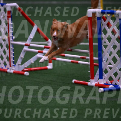 Basil-Cindy-Fink-00983