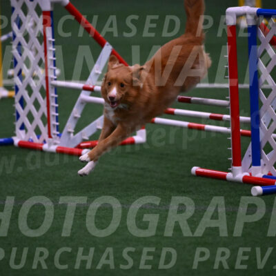 Basil-Cindy-Fink-00984
