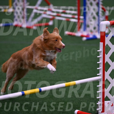 Basil-Cindy-Fink-00988