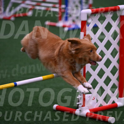 Basil-Cindy-Fink-00991