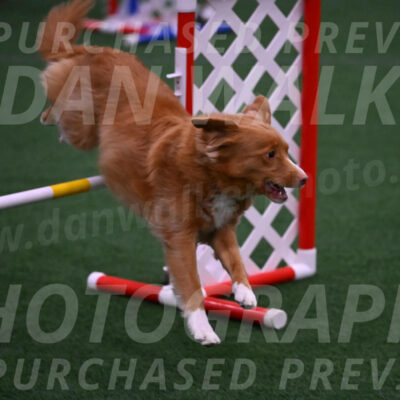 Basil-Cindy-Fink-00992