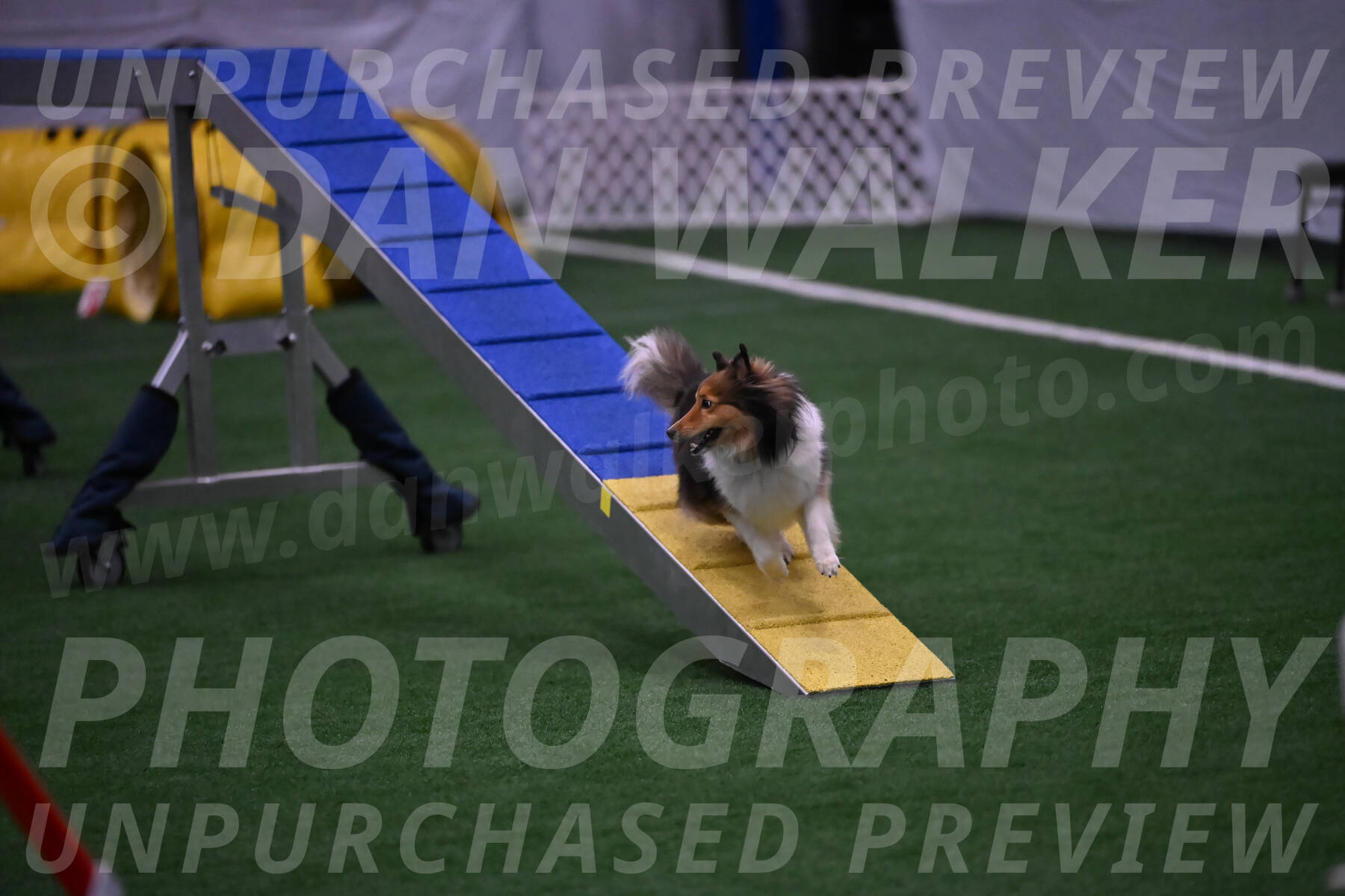 Bizzy-Janet-Robertson-08574