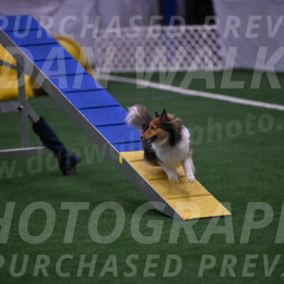 Bizzy-Janet-Robertson-08574