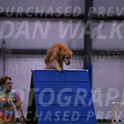 Bode-Ann-Worden-07385
