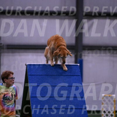 Bode-Ann-Worden-07388