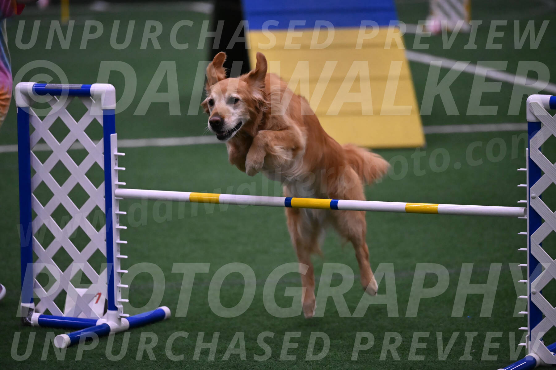Bode-Ann-Worden-07410