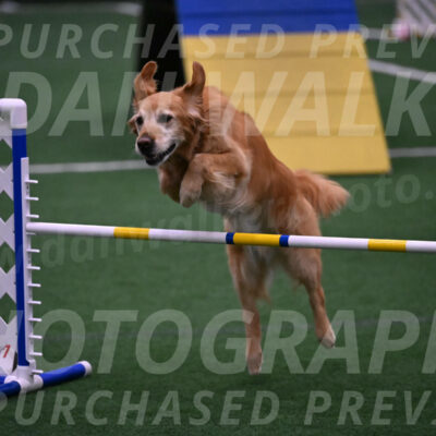 Bode-Ann-Worden-07410