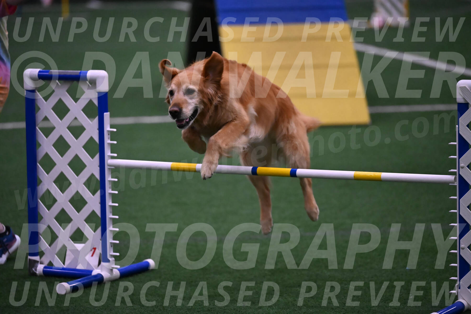 Bode-Ann-Worden-07411