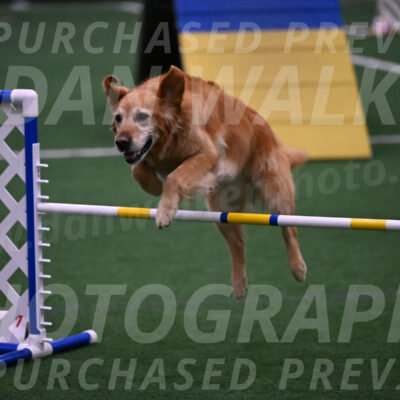 Bode-Ann-Worden-07411