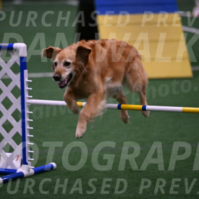 Bode-Ann-Worden-07412
