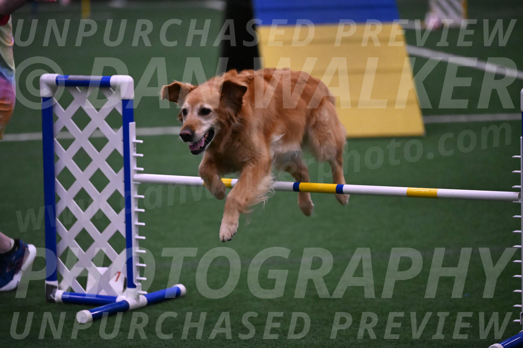 Bode-Ann-Worden-07412