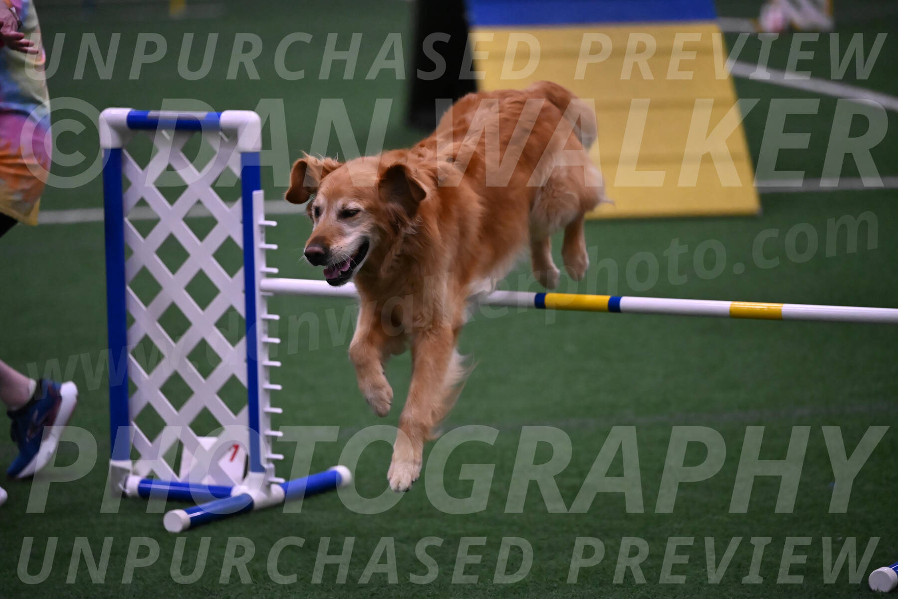 Bode-Ann-Worden-07413