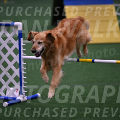 Bode-Ann-Worden-07413