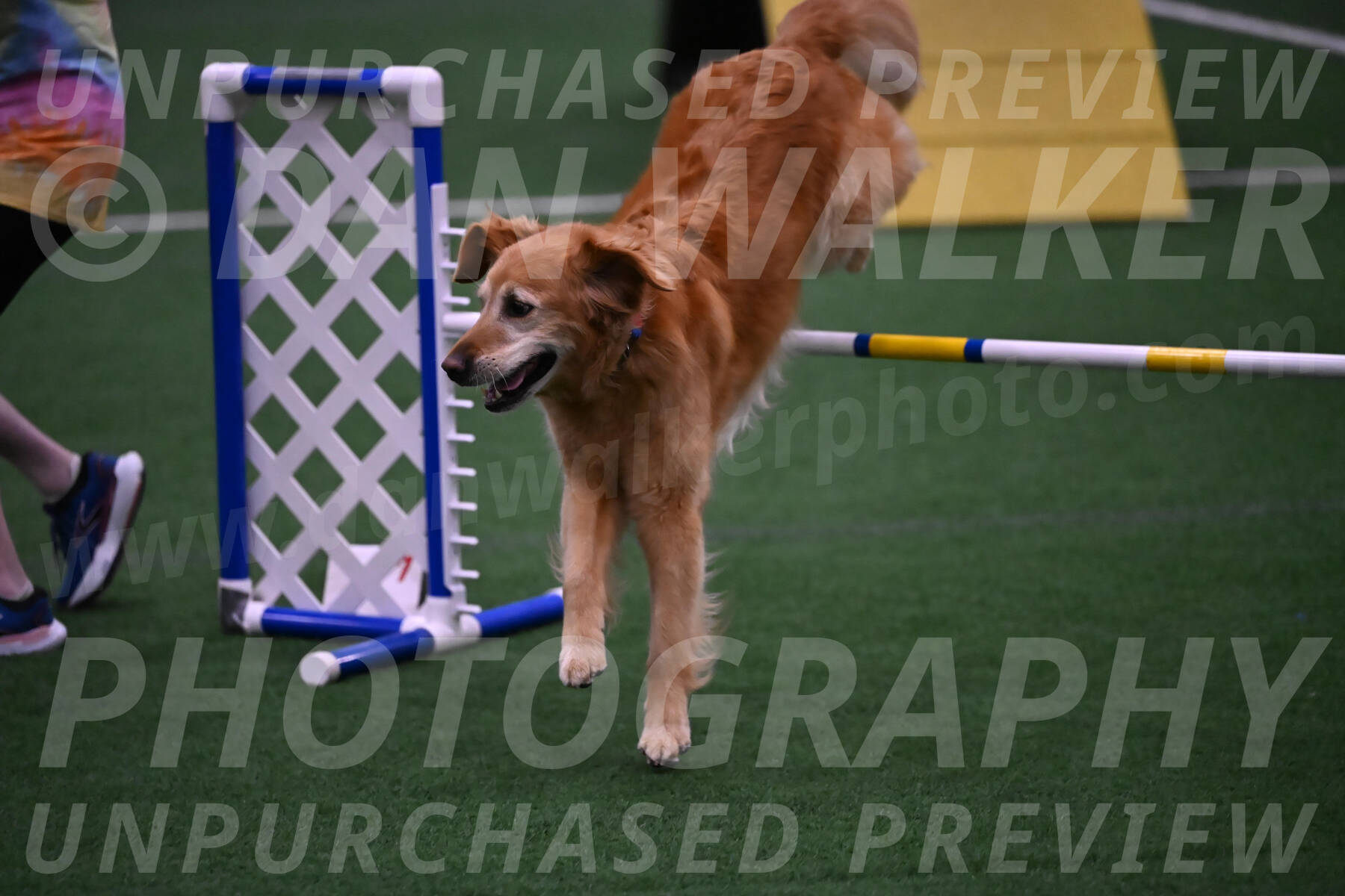 Bode-Ann-Worden-07414