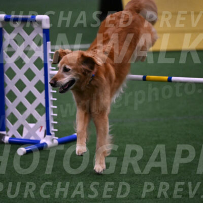 Bode-Ann-Worden-07414
