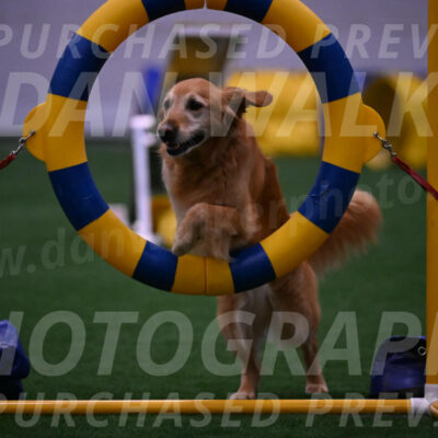 Bode-Ann-Worden-07450