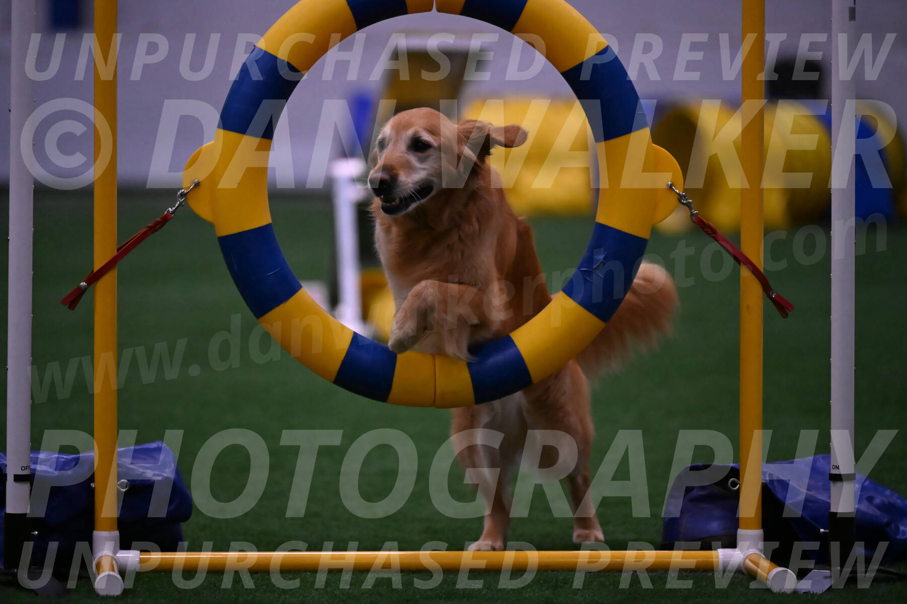 Bode-Ann-Worden-07450