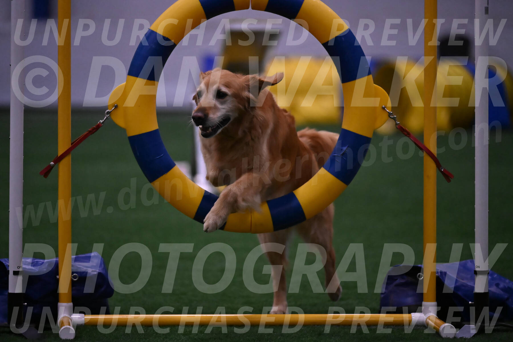 Bode-Ann-Worden-07451