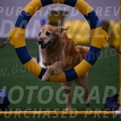 Bode-Ann-Worden-07451