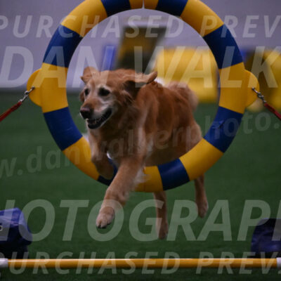 Bode-Ann-Worden-07452