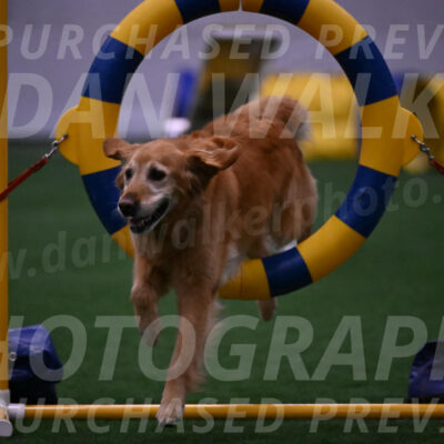 Bode-Ann-Worden-07453
