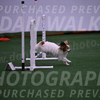 Boomer-Ramona-Cartwright-10429