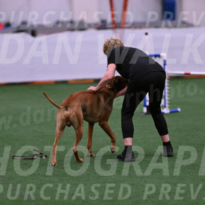 Brick-Karen-Mikulin-03900