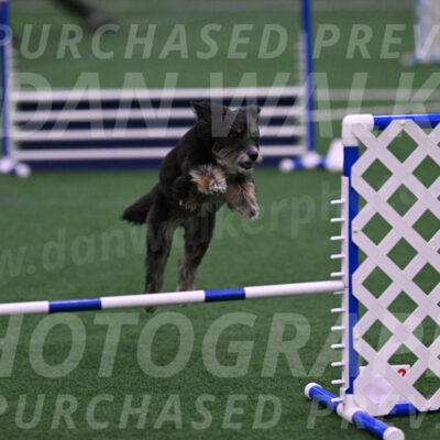 Brynie-Michelle-Burnmeister-00505
