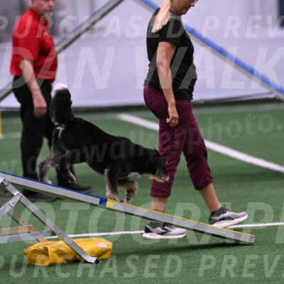 Brynie-Michelle-Burnmeister-00516