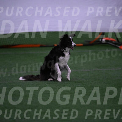 Cali-Sandy-Bican-09308