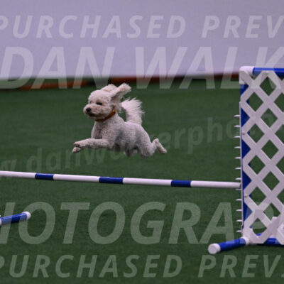 Charlie-Barbara-Thomas-05852