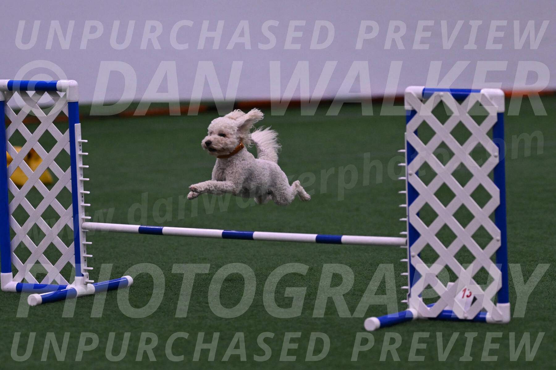 Charlie-Barbara-Thomas-05852