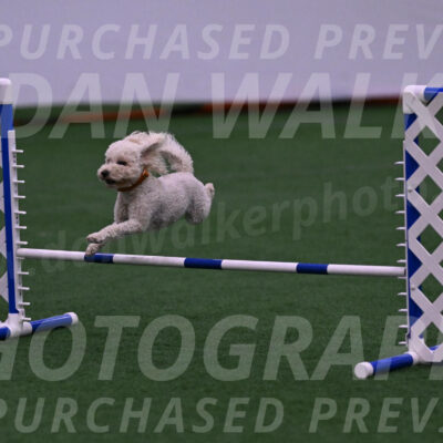 Charlie-Barbara-Thomas-05853