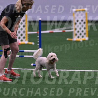 Charlie-Barbara-Thomas-05854