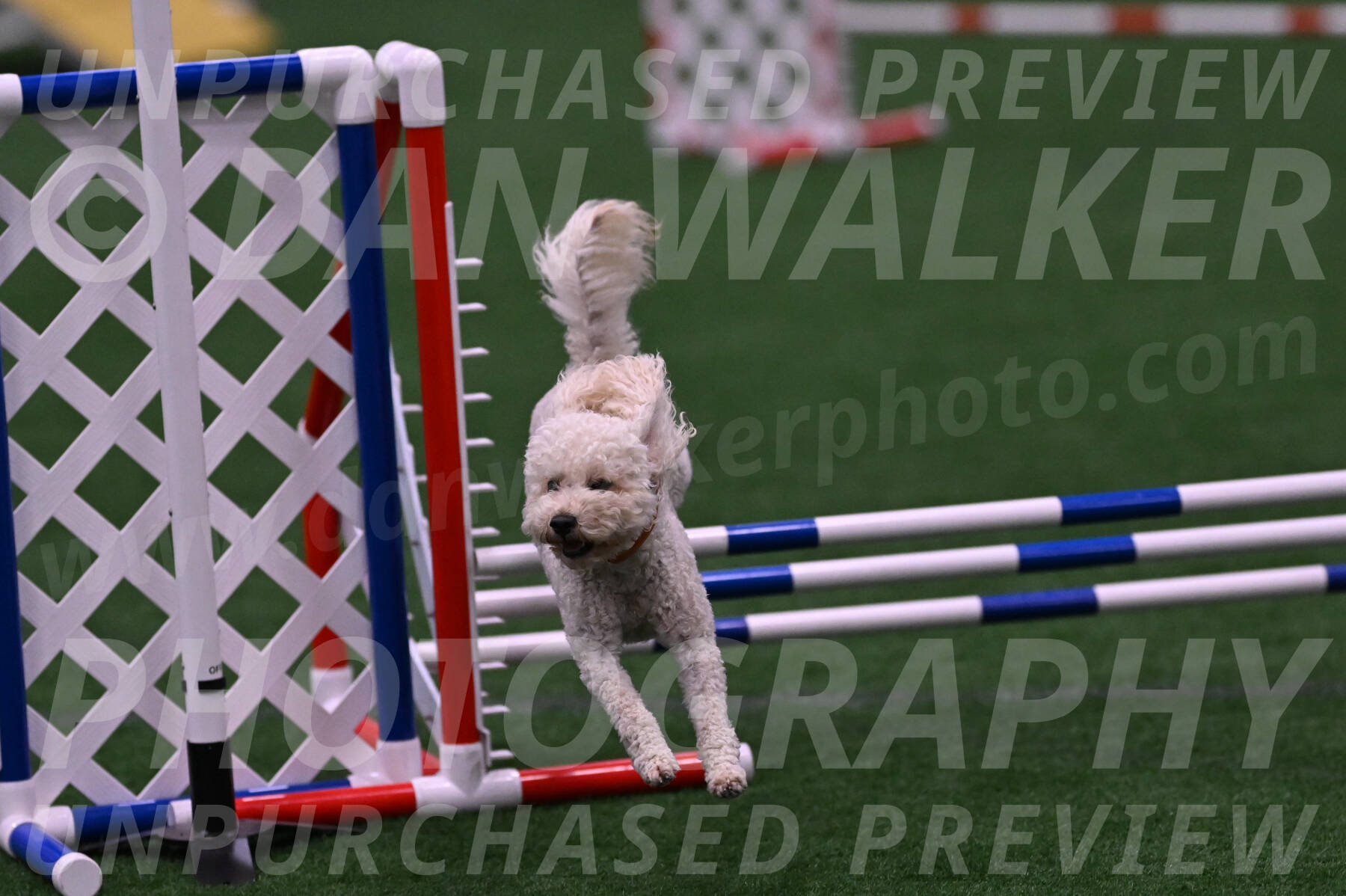 Charlie-Barbara-Thomas-05867