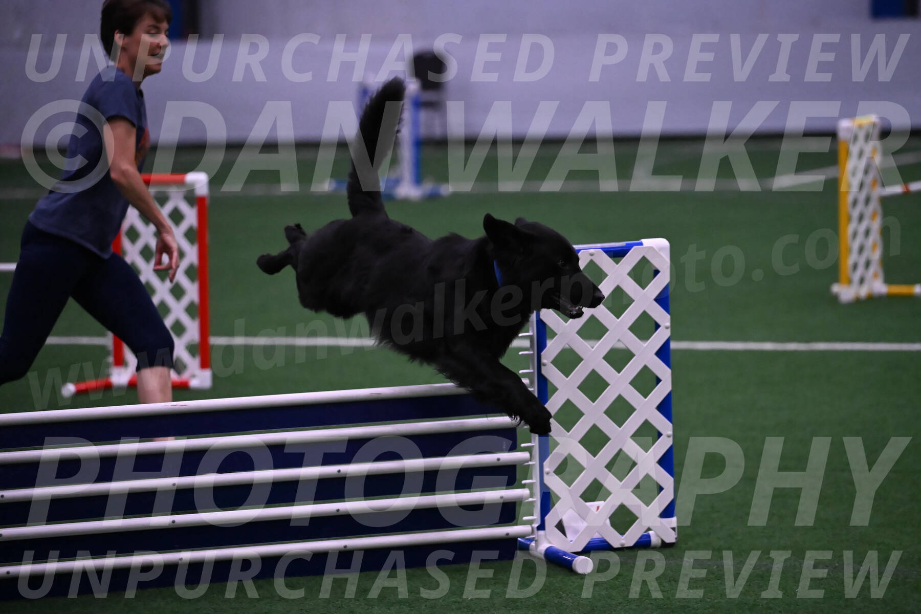 Chill-Anne-Lowe-04113